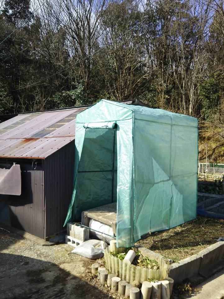 収穫した作物を外で洗浄して箱詰めするための温室を組み立てました-2017-02-04