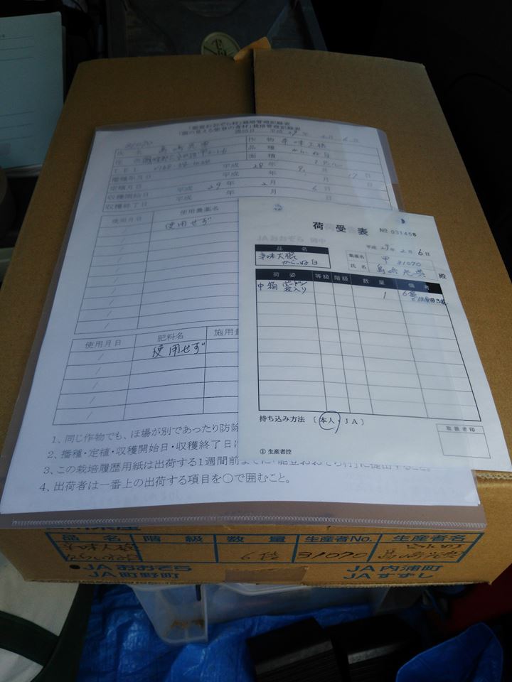 辛味大根の「からいね白」は顔の見える能登の食材に出してみます-2017-02-06