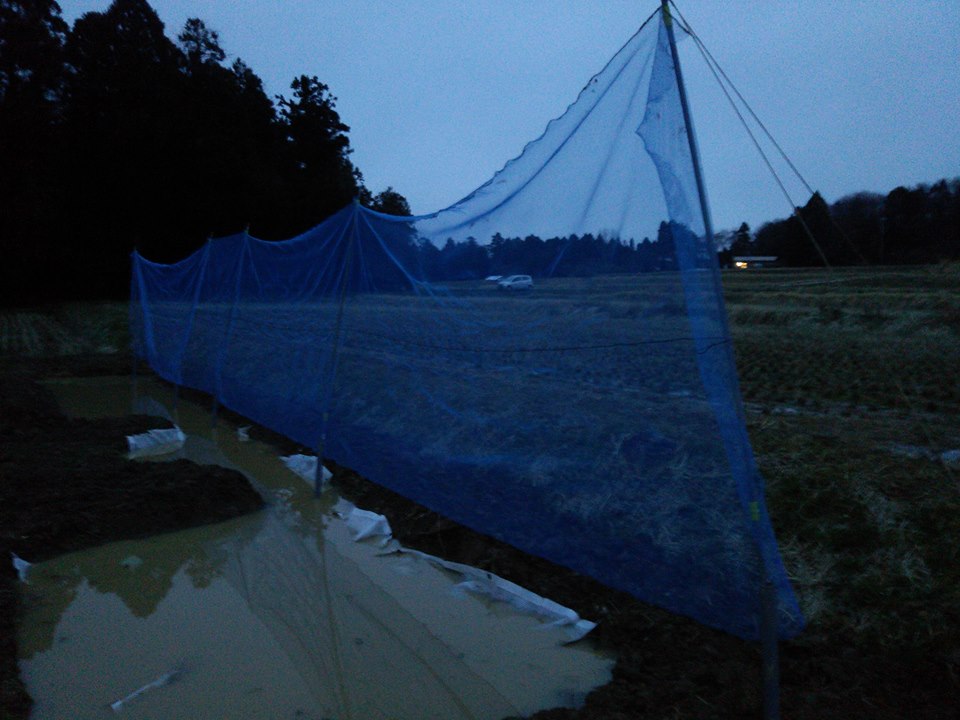 通路の部分ともみ殻くん炭を作っていた場所の半分を掘り起こし-2017-02-22