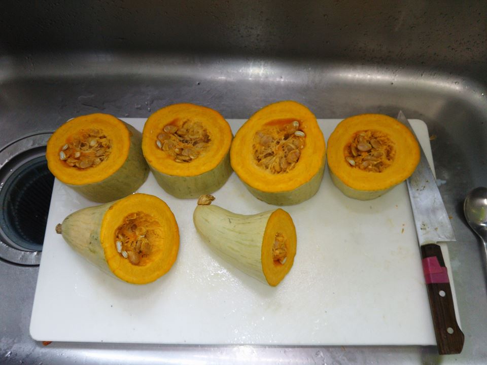 夕飯で飛騨かぼちゃは美味しく食べられました。そうめんかぼちゃは腐っていたそうです-2017-02-13