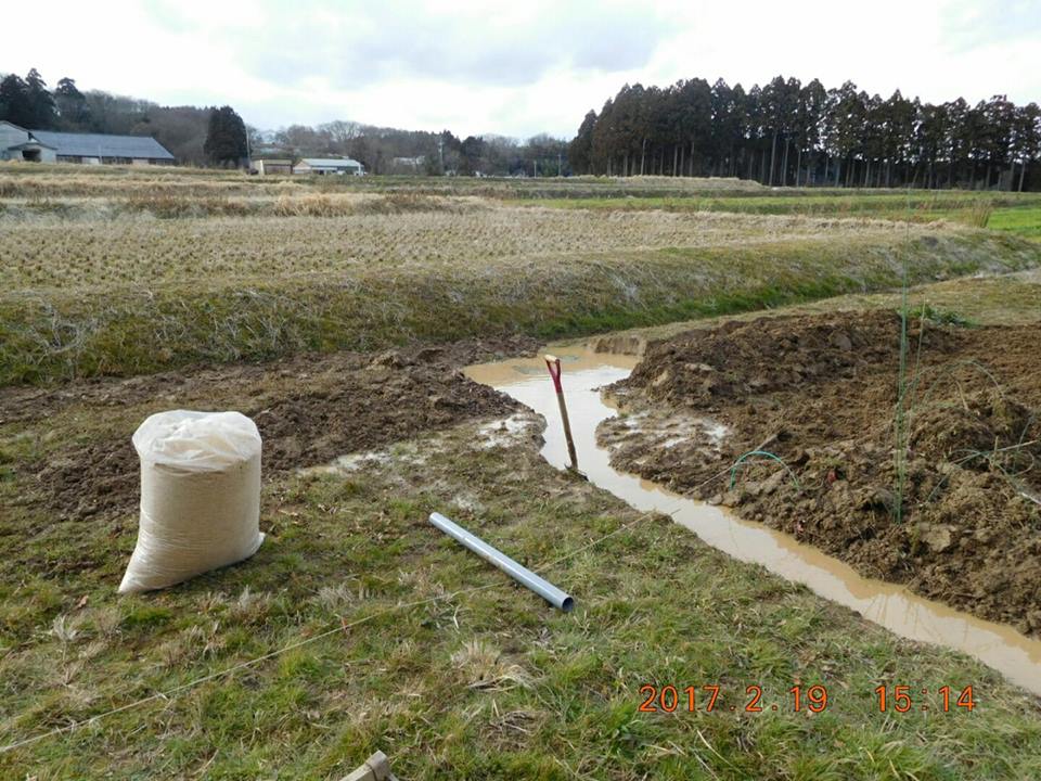 今4mの干渉地帯と浄化用排水溝の構築中-2017-02-19