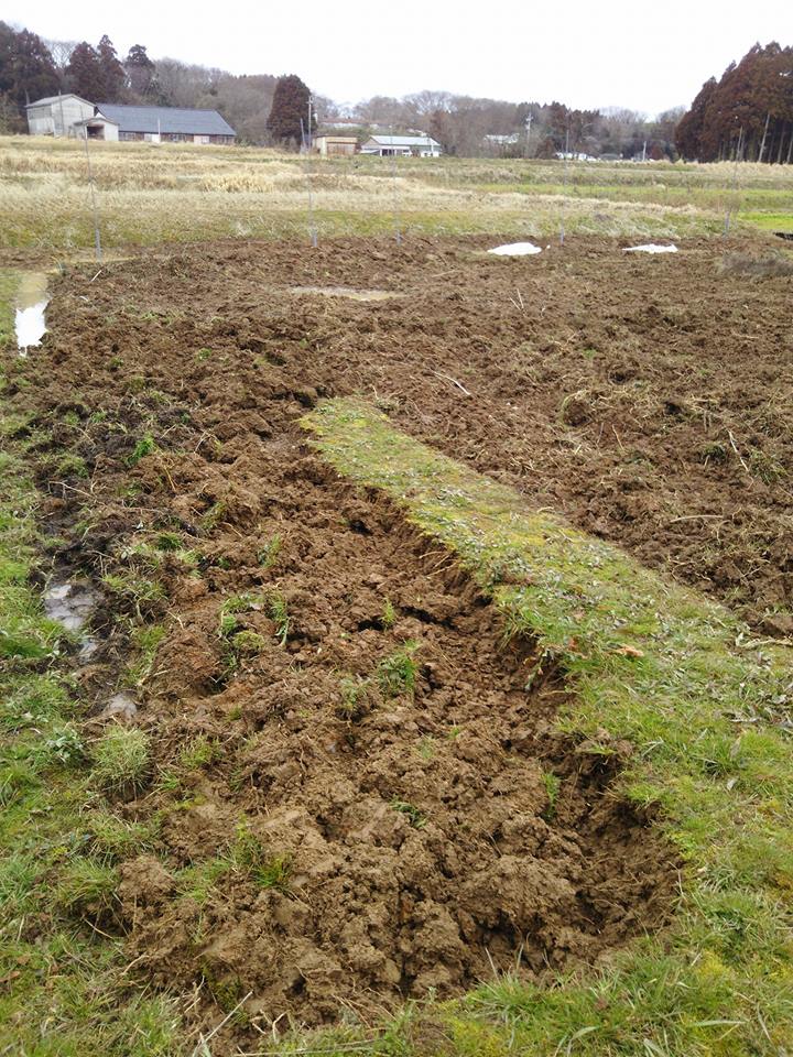 土壌の団粒構造の重要性をよくいわれますが、本当に出来上がっているほ場の土を見ないと実感できないと思います-2017-02-22