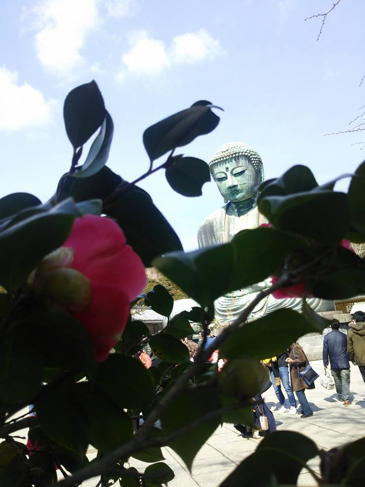 甲(かぶと)消防分団の研修活動で東京から鎌倉まで行ってます-2017-02-26