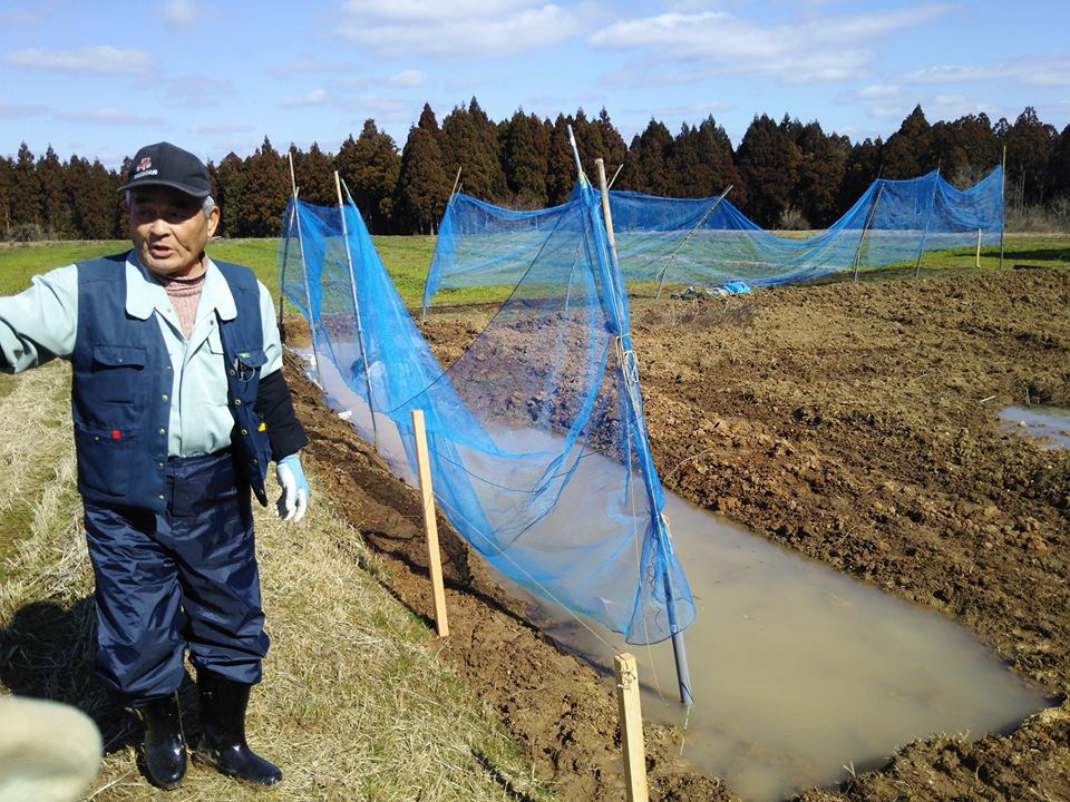 朝から75になる親父に手伝ってもらって防風ネットを張り直しました-2017-02-28
