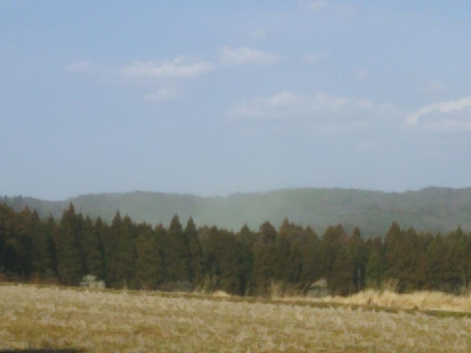 昨日までの寒さが嘘のような暖かさで杉花粉で山にもやがかかったようです-2017-03-13