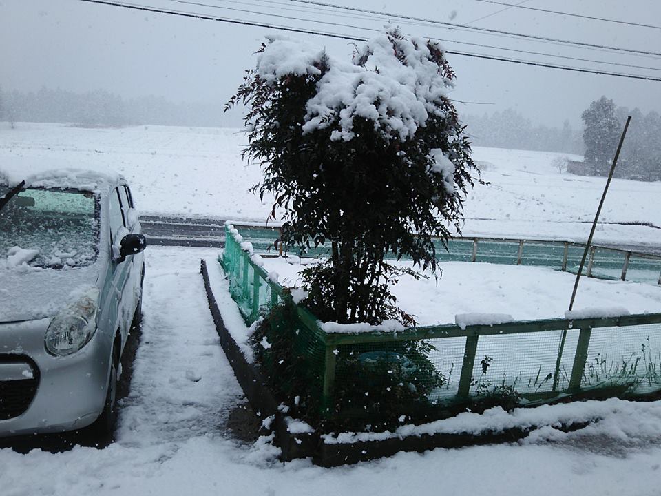 今朝の北國新聞朝刊でアピオスの記事が出てました-2017-03-07