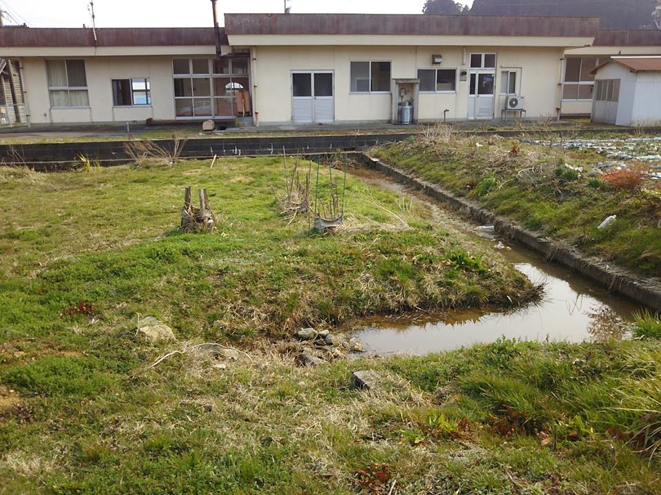 手前はキクイモの種芋をもらった親戚の家庭菜園です-2017-03-19