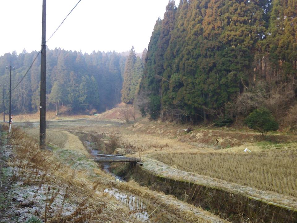 今朝は霜が降りてます。日陰は昼頃までこうです-2017-03-20
