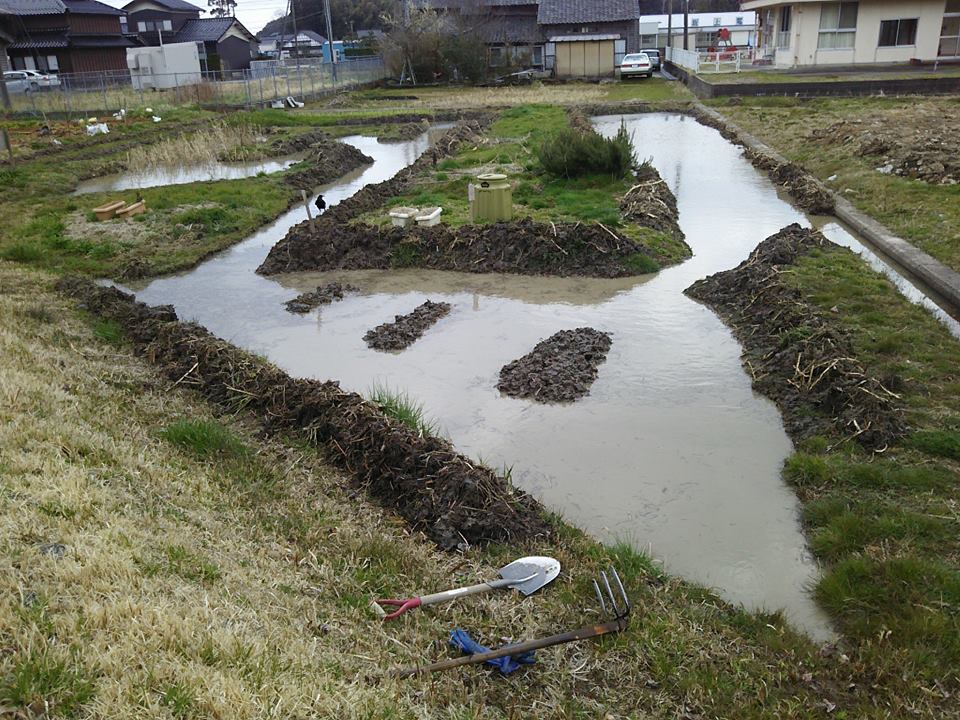 移植予定の花菖蒲が3種類、ほ場の手直ししてました-2017-03-24