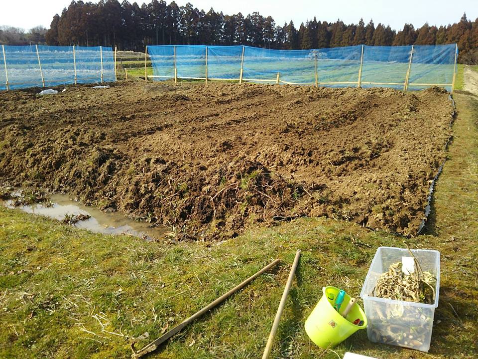 これまでの簡単なまとめ-2017-03-21