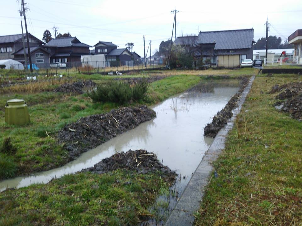冷たい雨が降ってる-2017-03-21