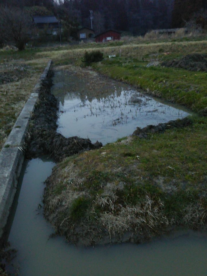 今日は午後1時過ぎまで穴水町消防団の春の火災予防パレードと小型ポンプの放水式があったのでこっちの作業は2時からでした-2017-03-19