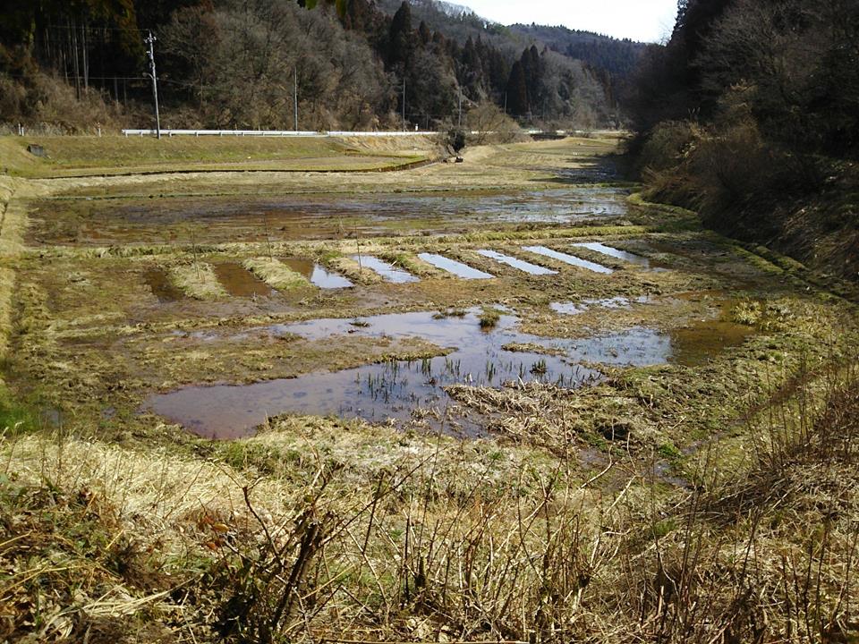 用水溝の掃除です-2017-03-25