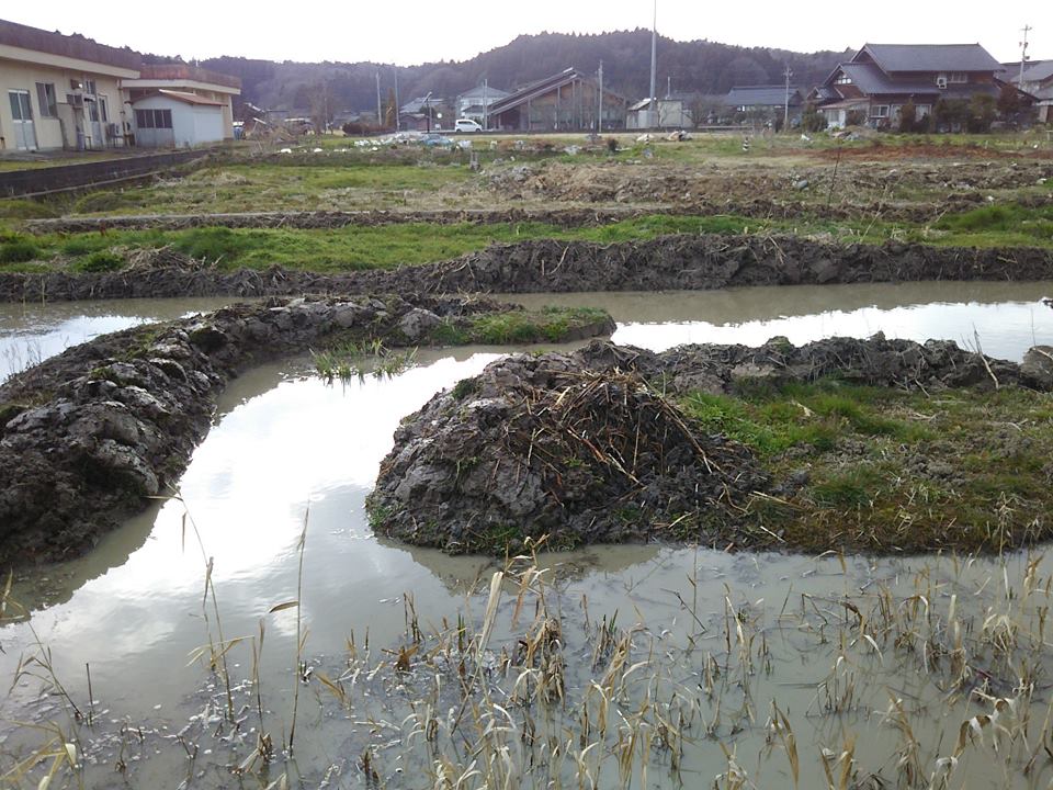 カキツバタの株分けをしやすいように水路作りました-2017-03-24