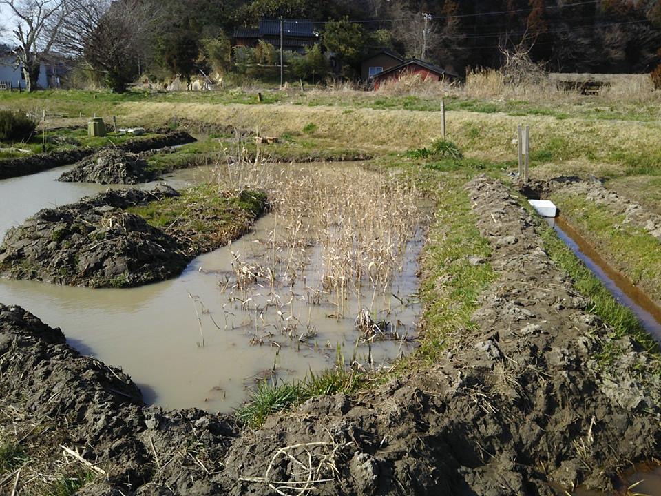 暗くなるのが日に日に遅くなってるので6時半でも野外作業できます。-2017-03-26