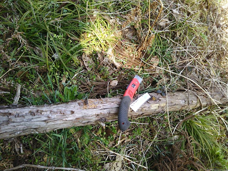 倒木処理中に折り畳み式ノコギリ折れました-2017-03-25