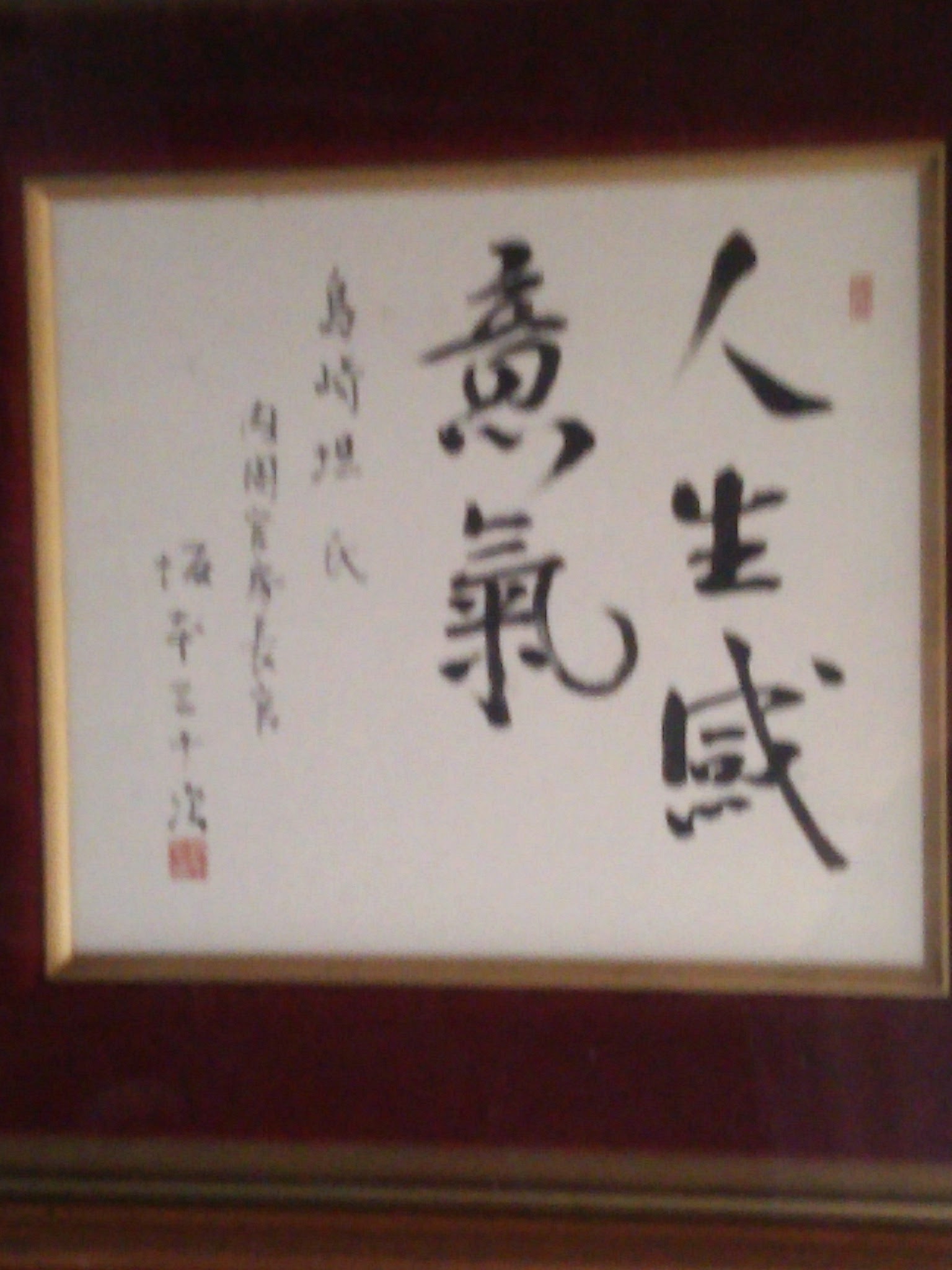 人生（じんせい）意気（いき）に感（かん）ず 2017-03-27