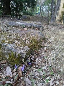 曹洞宗大蓮寺(だいれんじ)の草刈りです 2017-04-04