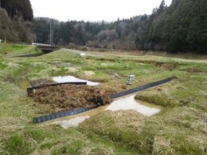 少し輪郭ができました 2017-04-06