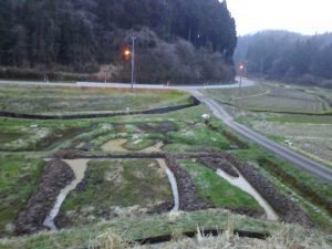 カナリア効果を狙ってドジョウを入れることも考えてます 2017-04-07