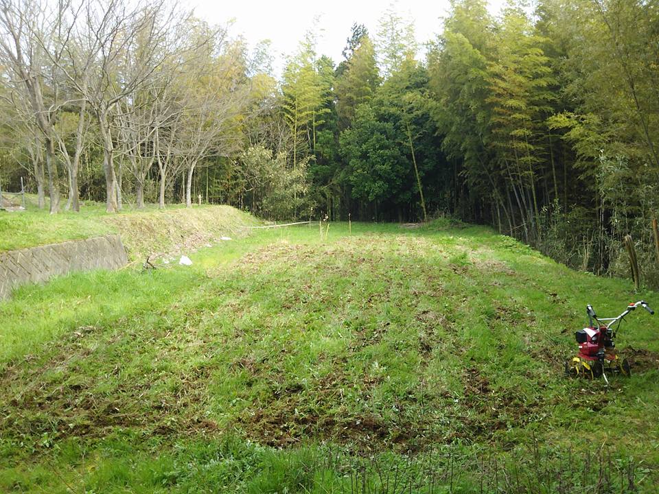 ヤンマーミニ耕うん機YK300QTの試運転 2017-04-20