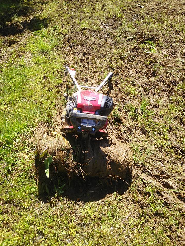 ミニ耕うん機で耕うん 2017-04-24