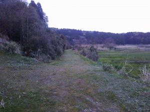 線路跡地の草刈り 2017-04-28