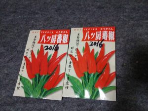かぼちゃととうがらしの種 2017-05-08