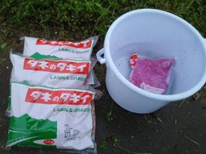 昨日は金糸瓜の種まきしました 2017-05-13