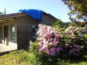 甲駅の草刈り 2017-05-16