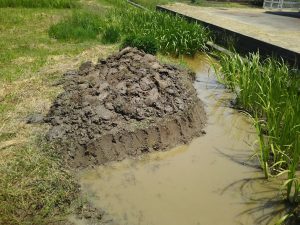 菖蒲池の拡張と明きょ掘りです　2017-05-22