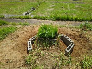 甲駅のホームと周りの草刈りと廃品利用の花壇制作です 2017-06-05