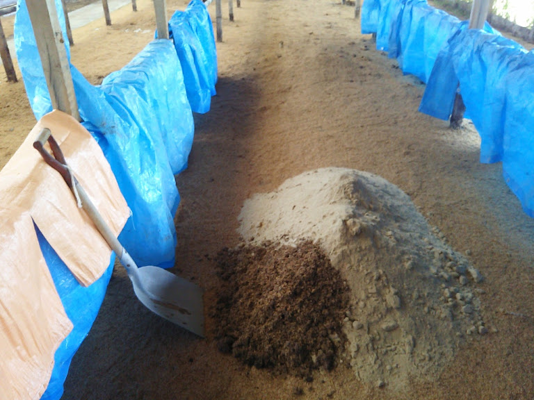 今年最初の発酵米ぬかぼかし作りです 2017-06-22