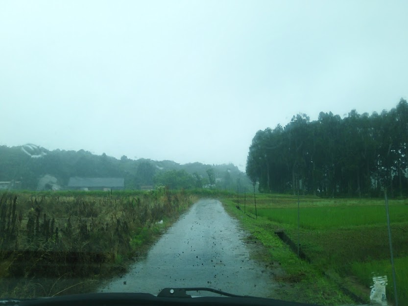 雨は思ったよりも強くないので、草刈りです 2017-06-30