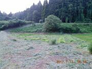 デジカメ写真をwifiで転送すると撮影情報(exif)は勝手に変わりますね-2017-07-25