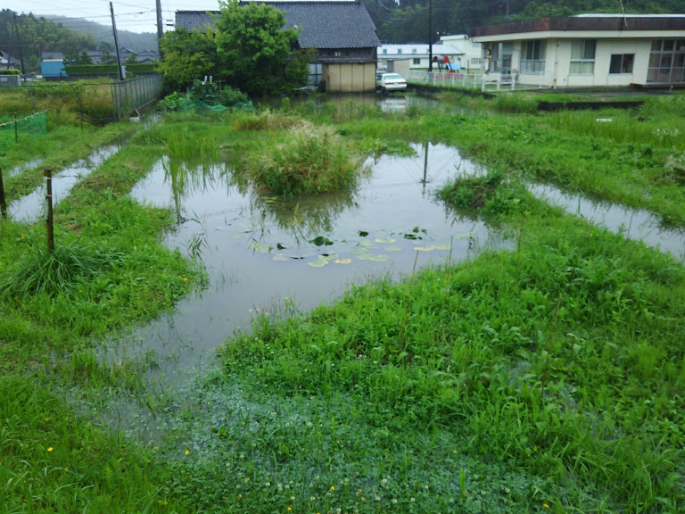 雨が降ったと思ったら集中豪雨 2017-07-01