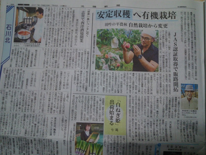 夢だけでは生きていけない 2017-07-05