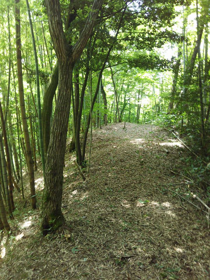 今年も曹洞宗の大蓮寺の裏山ぐるっと200mくらいほど草刈り-2017-08-05