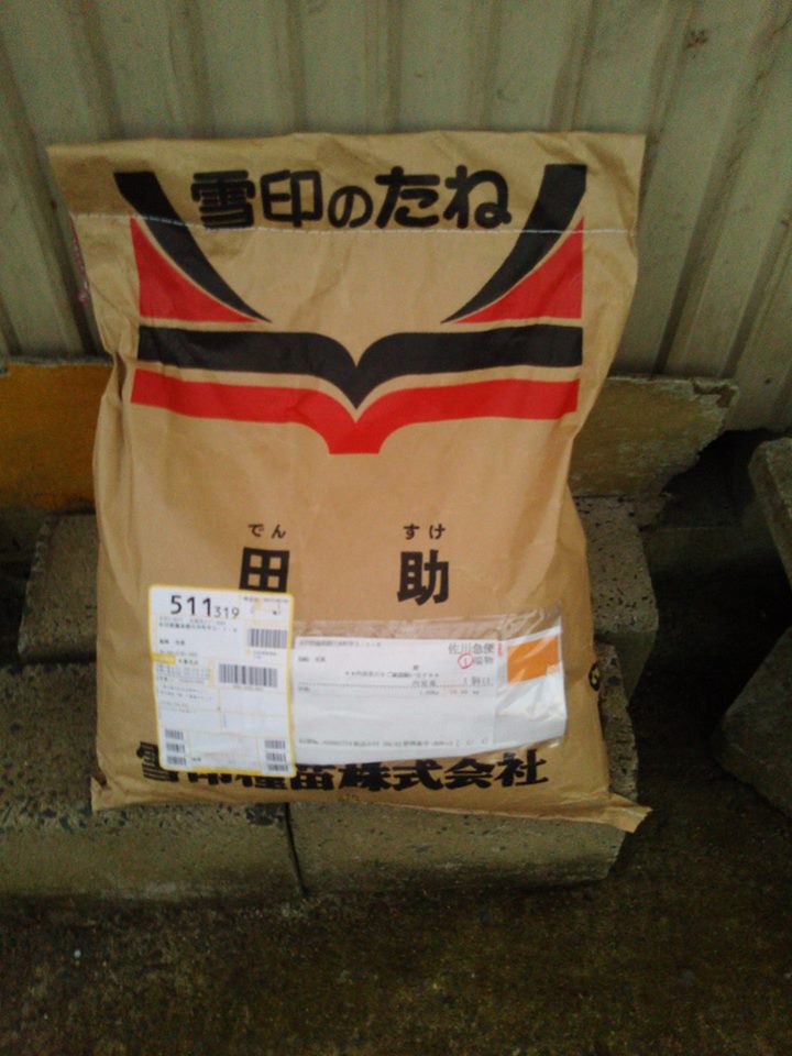 雪印種苗さんからセスバニアの田助届きました-2017-08-05