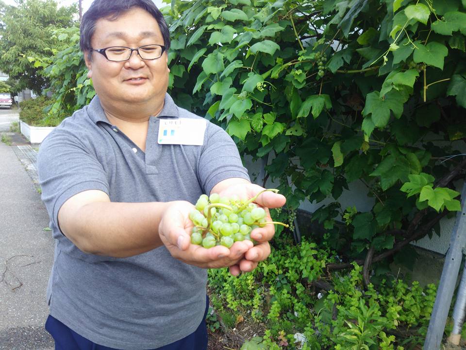 穴水消防署に野焼き申請のあと森本石油さんに寄ったら白ワイン用のブドウをもらいました-2017-08-17