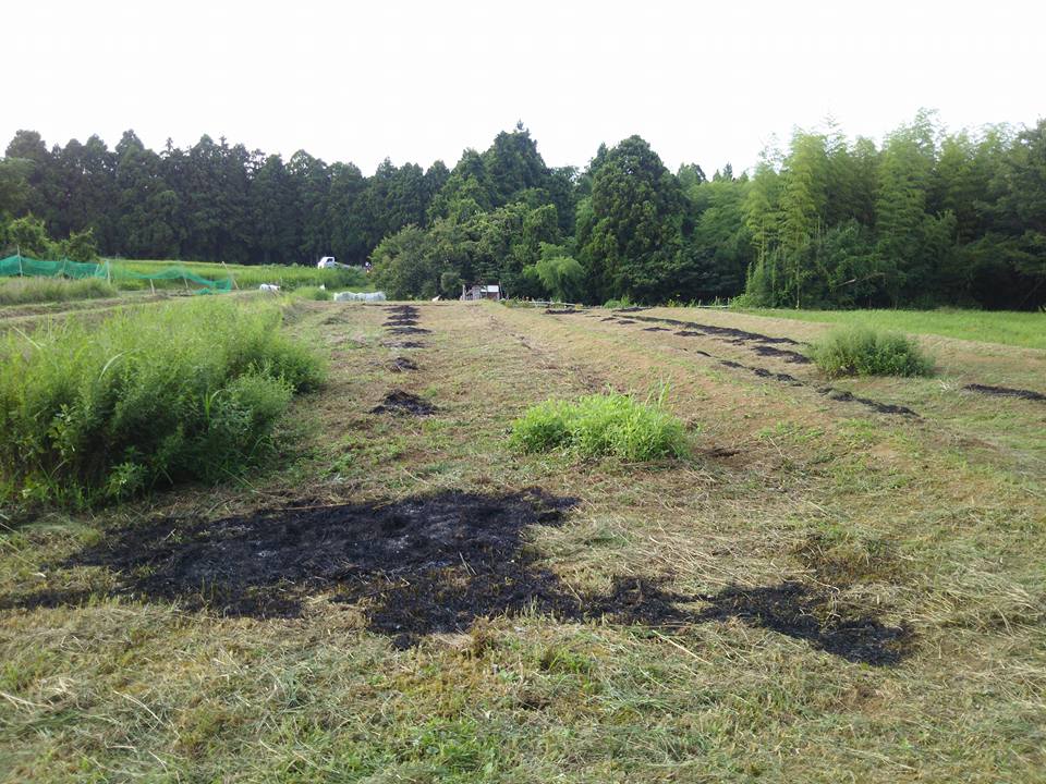 野焼き終了です-2017-08-26