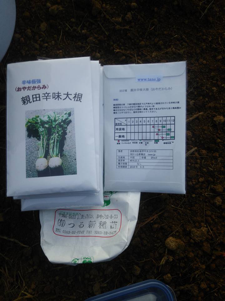 試験栽培１年目の秋そばが一部発芽です-2017-09-04