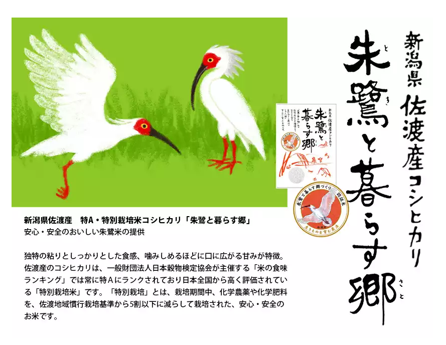 GAP Japn 2017 に石川県の能登半島の穴水町から東京大学弥生講堂まで行ってきました-2017-09-28