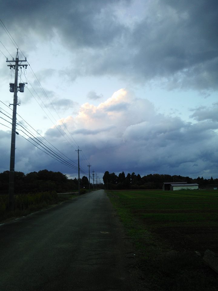 刈り取った秋そばを集めましたが、10アールで4袋分だけでした 2017-11-15