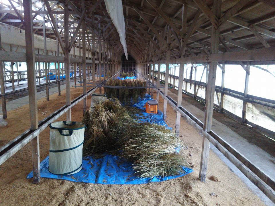 消防団の忘年会福井県ですが、今年は参加しませんでした-2017-12-16