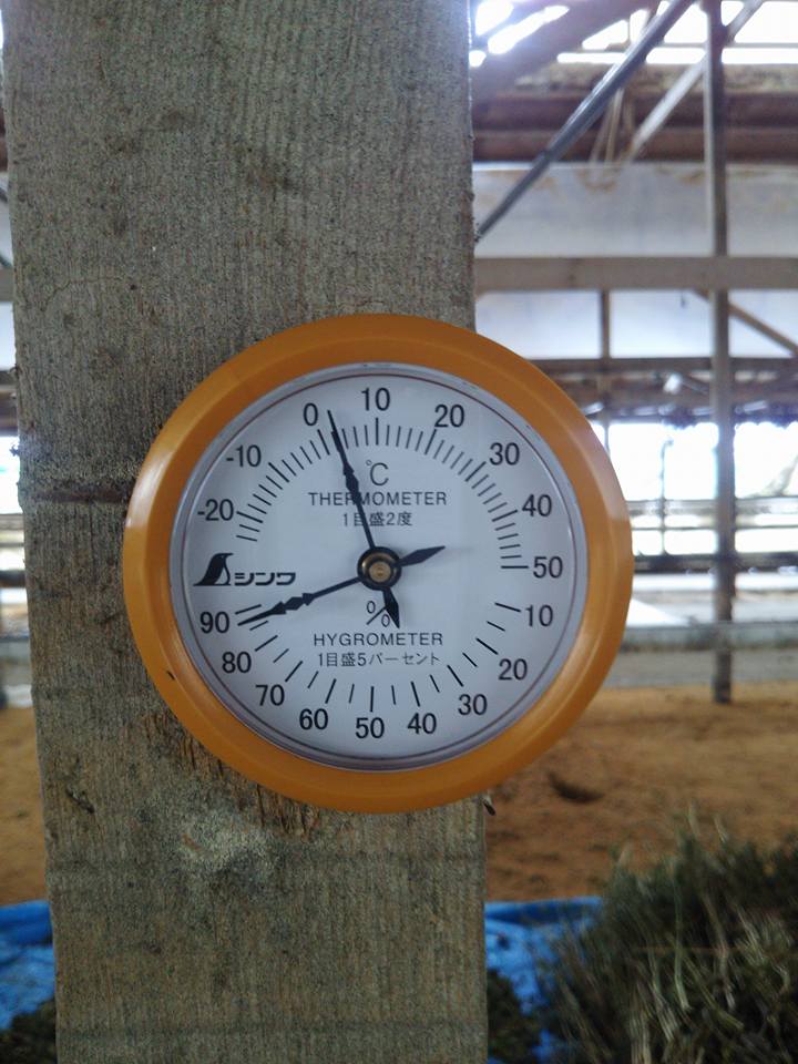 そばの手もみで脱穀はあと一日で終わるかなあ-2017-12-18