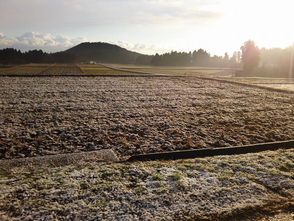 甲駅の水質検査をつくば分析センターに依頼します-2017-12-20