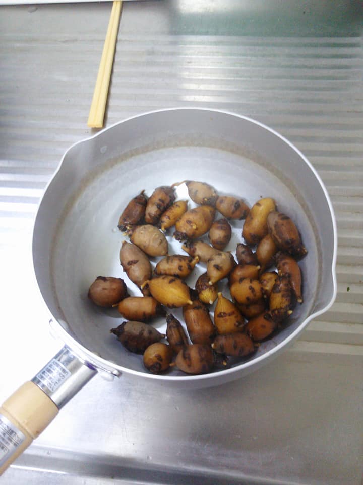 来年からアピオスの特産化を進めます-2017-12-31