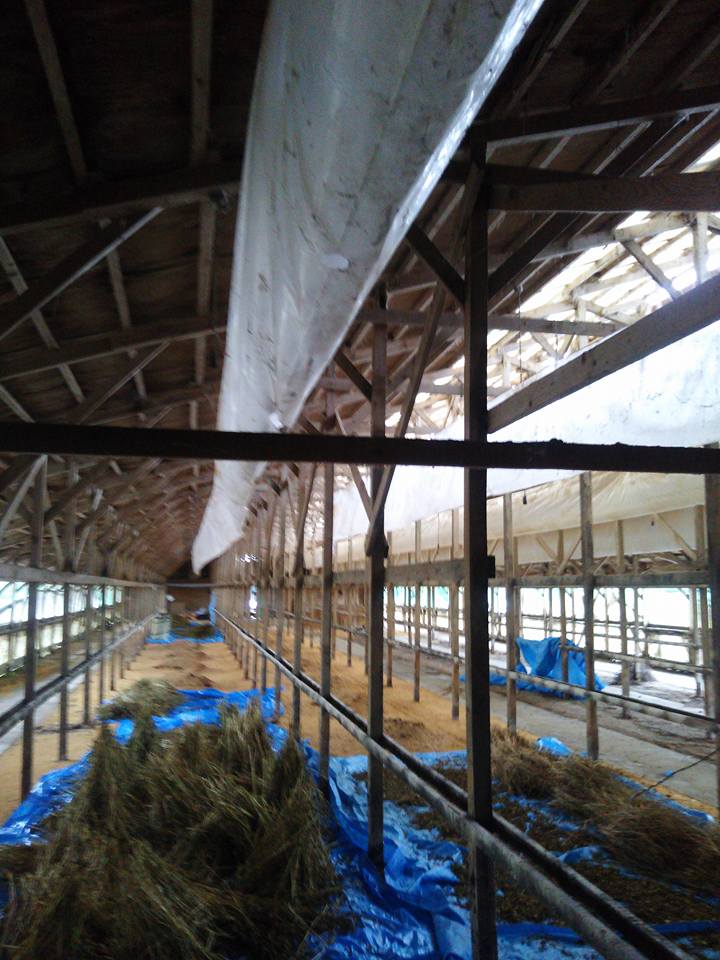 やっと脱穀終わり。雪になった-2017-12-19