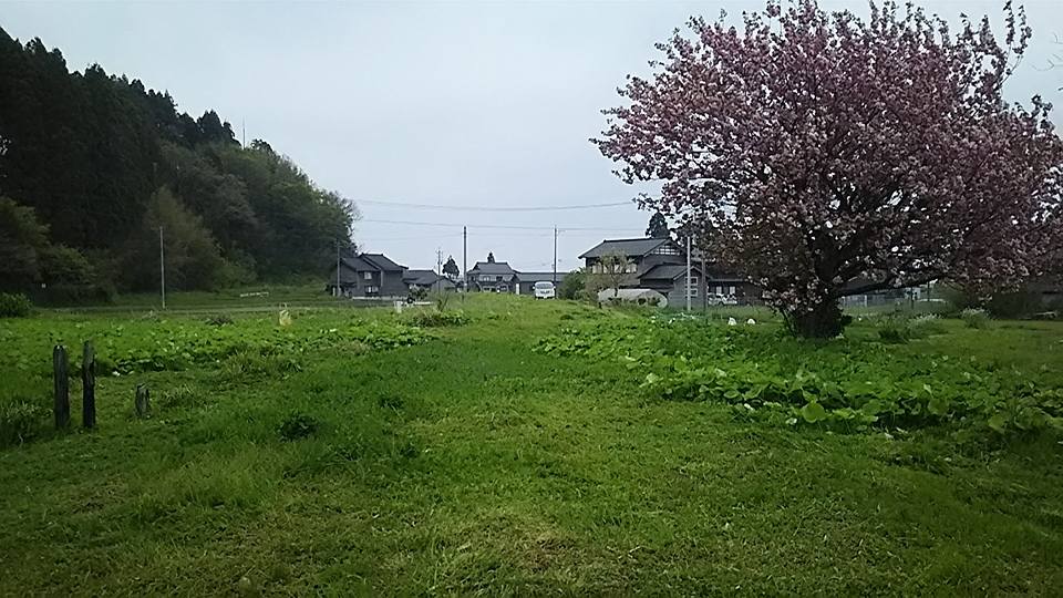 FBの写真替えましたが、あれは2016年5月の甲駅の線路跡の写真です 2018-01-07